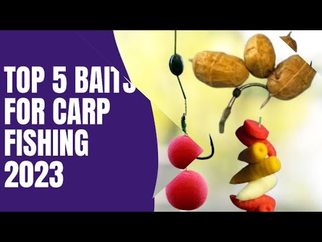 Best Carp Fishing Baits 2023: Top 5 Picks for Spring Carp — Eightify