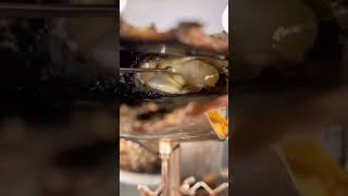 We open oysters ON LIVE everyday at 3•30 PM-India Time #pearl #pearljewelry #freshwaterpearl