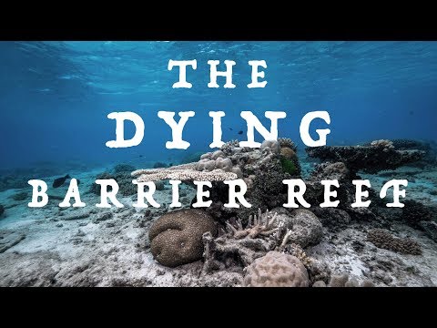 The DYING Barrier Reef