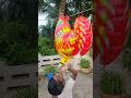মোরগ ঝুলে আছে #trending #funny #viralvideo #youtubeshorts #shorts #viral #vlog #toys #boni #yt
