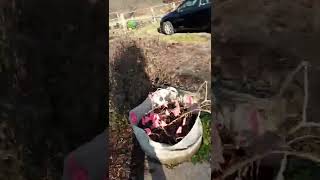 simplex 4004 test 3