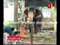 Chottanikara Seetha 1.