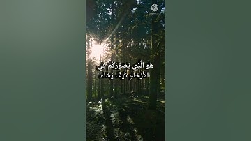 سورة آل عمران (الاية 5/6)||القارئ عبد الرحمن مسعد