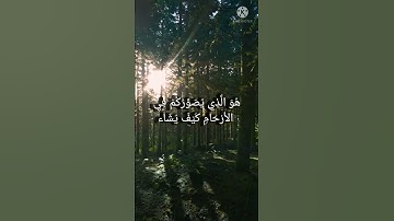 سورة آل عمران (الاية 5/6)||القارئ عبد الرحمن مسعد