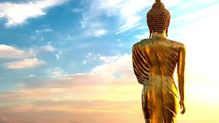 Morning Gratitude | Embracing the Dawn with Buddha