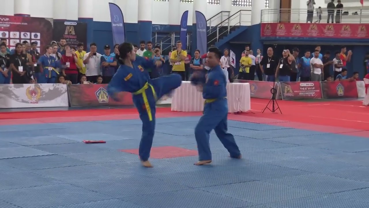 Vovinam World Championships/ self-defense /Vietnam