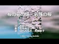 桜の花の頃・名残の桜