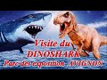 Visite du dinoshark avignon 2021