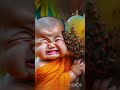 ЁЯШКLittle Monk So CuteЁЯРе Hash Ke Gi Mange Comment ЁЯШКLittle Monk So CuteЁЯРе Hash Ke Gi Mange Comment