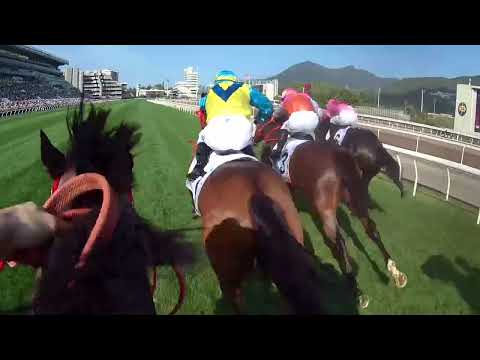 【2024 香港打吡大賽 Hong Kong Derby】「超超比」騎師視角 「大至尊」從後如飛殺上贏打吡 / Jockey Cam - CHILL CHIBI