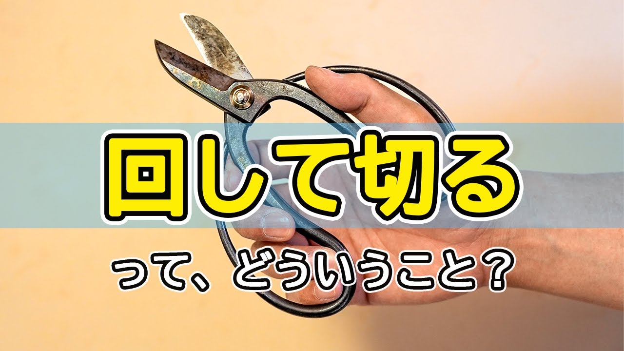 Permanent Edition] How to Use Scissors for Flower Arranging - YouTube