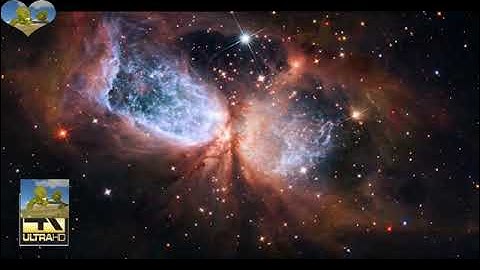 سورة العاديات كاملة بصوت القارء الشيخ احمد تميم المراغي.Holy Quran Surat Al-Adiyat complete