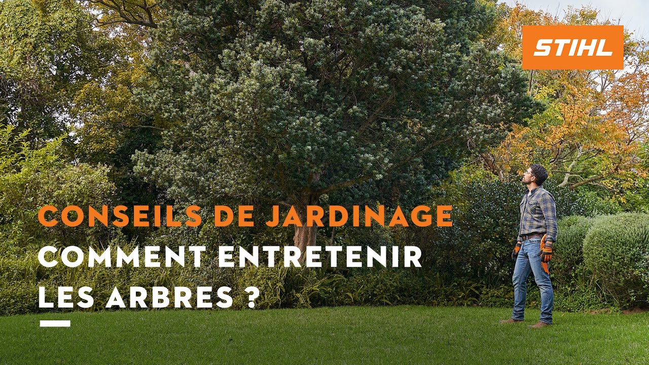 Entretien des arbres | Conseils de jardinage STIHL