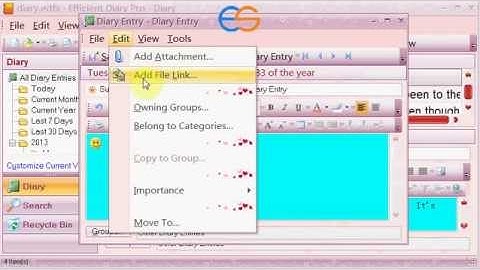 How to Make Your Life Become More Organized with Daily Diary