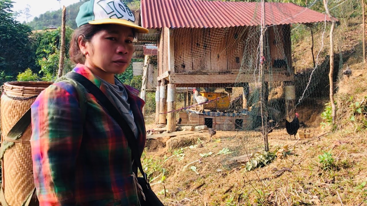 เสียหญ้าไร่ ขุดมันต้น เก็บยอด เก็บผัก ตัดอ้อยมากินอากาศร้อนๆ - อาเตือย