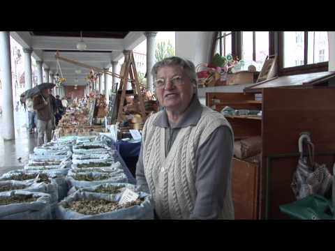 Video: Astragalus (zelišče) - Uporaba In Lastnosti Rastline Astragalus. Koren, Tinktura In Sirup Astragala