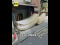 都市奇景！蘆洲巷弄「曬麵線」挨轟有食安疑慮#shorts