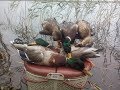 Массовый перелет крыжня Охота 25.10.2017 duck hunting