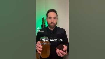 Make Worm Tea!