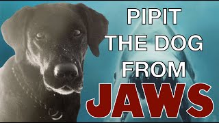 PIPIT THE DOG FROM JAWS