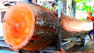 The process of sawing old and very good red durian wood