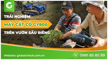 Bí quyết cắt cỏ vườn sầu riêng siêu nhanh với máy cắt cỏ GY800