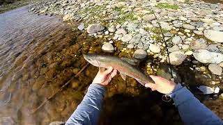 Yuba River Spring 2022