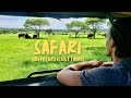 We saw the big five on a tanzania safari  the most amazing experience ever