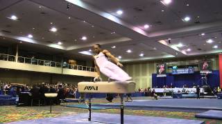 Stacey Ervin - Pommel Horse - 2014 Winter Cup Challenge Finals