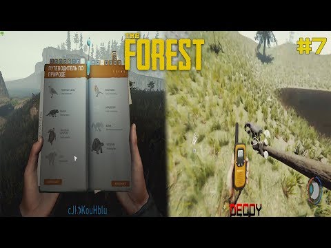 The Forest: Енот #7