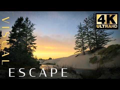 Piano Music for Studying | 5hrs of Ambient Peaceful Piano | Sand Dunes at North Bend Oregon |