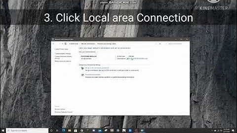 Performance Task in C.S.S (2)