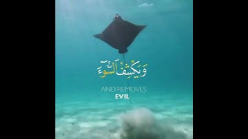 القرآن الكريم _ أمن يجيب المضطر إذا دعاه      القارئ عبدالرحمن المسعودي