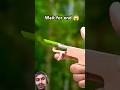 How to make bamboo gun #bamboo #art #crafts #bambooart #diy