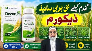 New Herbicide for Wheat Crop | Decorum Herbicide Complete Details || Crop Reformer