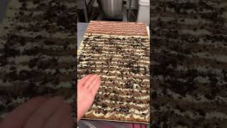 Famous Top 5 Baking Fails! Baking Brownies Gone Wrong! #shorts #tiktok #fail Profile
