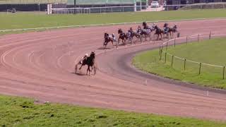 Vidéo de la course PMU PRIX BIRD PARKER