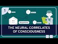 PHILOSOPHY - NEUROSCIENCE AND PHILOSOPHY 1: The Neural Correlates of Consciousness
