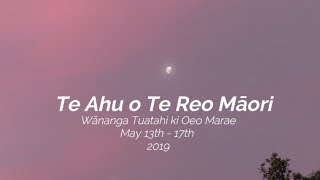 Te Ahu o Te Reo Māori/Fostering Education in Te Reo Māori