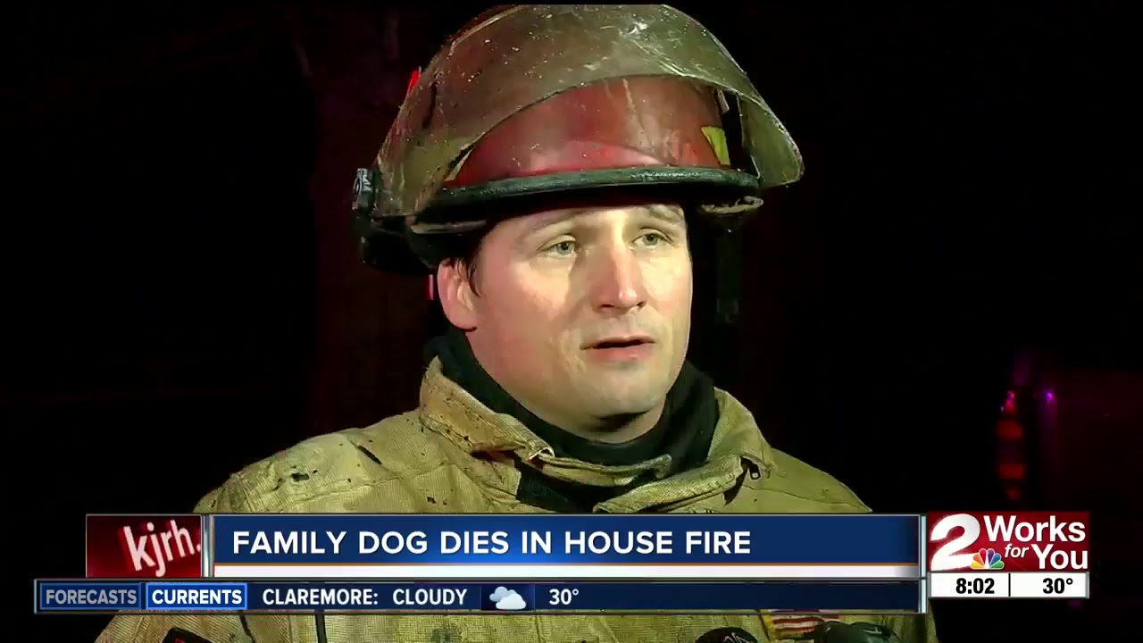 Family dog dies in house fire - YouTube