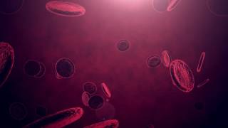 Stepblood Cells By. Different Channel