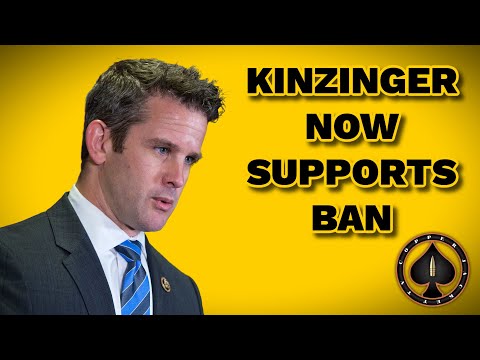 Republican A. Kinzinger Now Supports Ban on AR's.