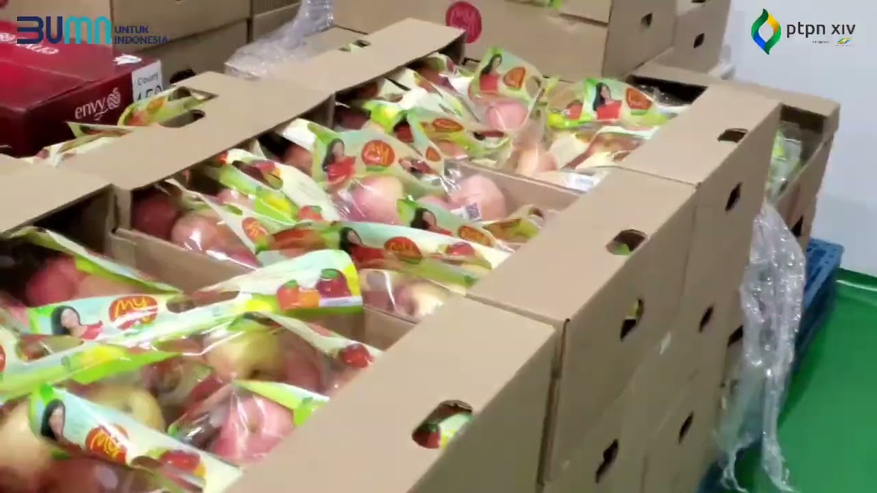 Kunjungan Kerja Direktur PTPN XIV ke  Mitra Strategis Offtaker Buah.