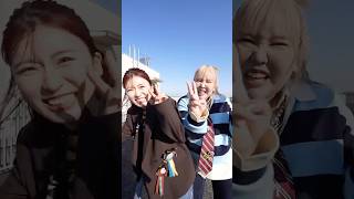 学校の屋上で青春みたいな日差し