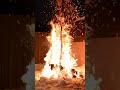 Burning Our Christmas Tree 