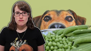 Vegan & Grain-Free Dog Food Might Be Deadly?