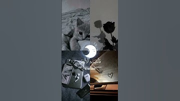 ولئن سألتهم من نزل من السماء ماء القرأن الكريم 🌹 بصوت القارئ عبد الرحمن مسعد ❤️