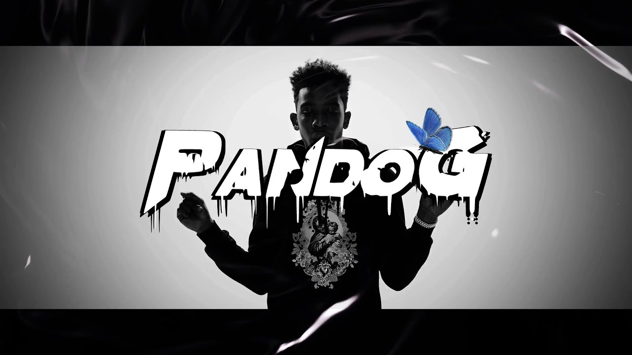 Desiigner - Timmy Turner (Pando G Remix) | DELECTABLE DARK BEATS 🖤🥀🖤 