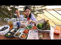 I don&#39;t think... a bottle of soju will cut it for this sceneryㅣEp1ㅣCamping, foodㅣHamzy Vlog