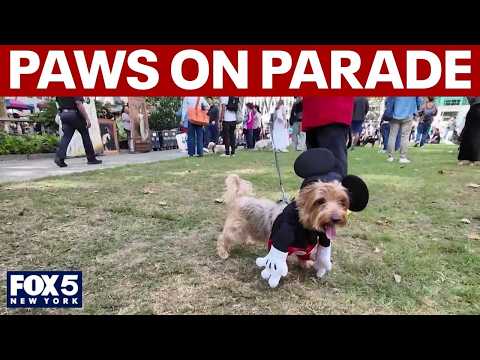 Paws on parade at Bryant Park